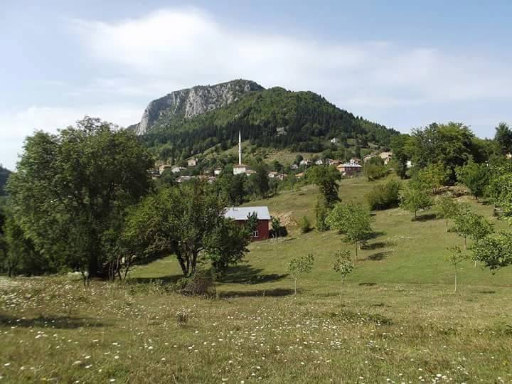 Küre Kesepınar Köyü Resimleri 6