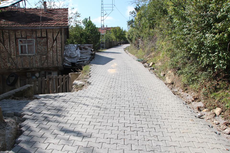 Küre Kesepınar Köyü Resimleri 7