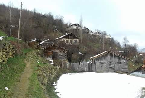 Küre Taşpınar Köyü Resimleri 1