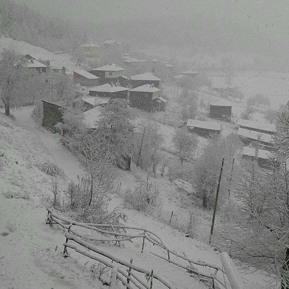 Küre Taşpınar Köyü Resimleri 2