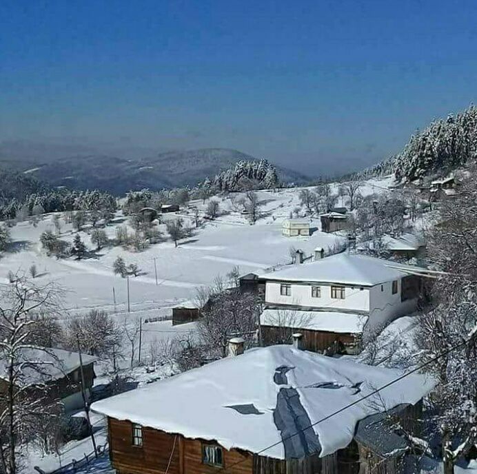 Küre Taşpınar Köyü Resimleri 3