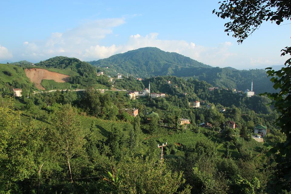 Of Serince Köyü Resimleri 1