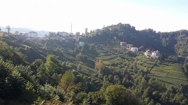 Of Serince Köyü Resimleri 10