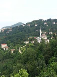 Of Serince Köyü Resimleri 15