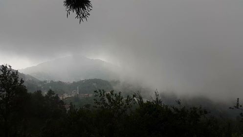 Of Serince Köyü Resimleri 17