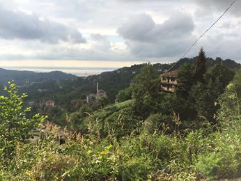 Of Serince Köyü Resimleri 18