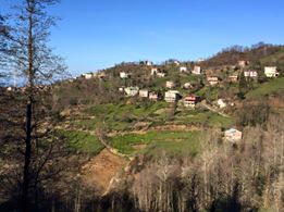 Of Serince Köyü Resimleri 19