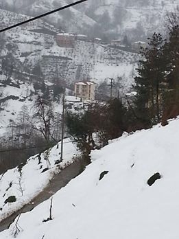 Of Serince Köyü Resimleri 24