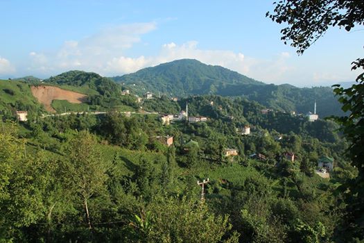 Of Serince Köyü Resimleri 28