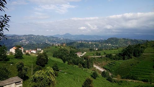 Of Serince Köyü Resimleri 33