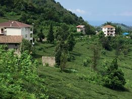 Of Serince Köyü Resimleri 37