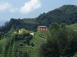 Of Serince Köyü Resimleri 38