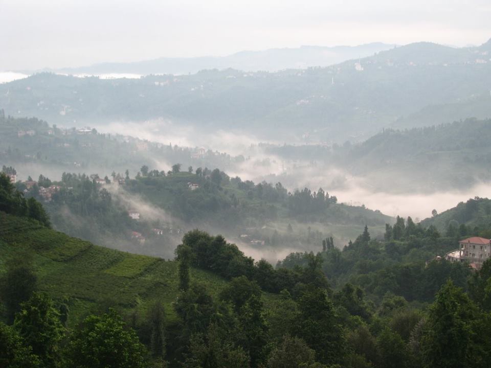 Of Serince Köyü Resimleri 39