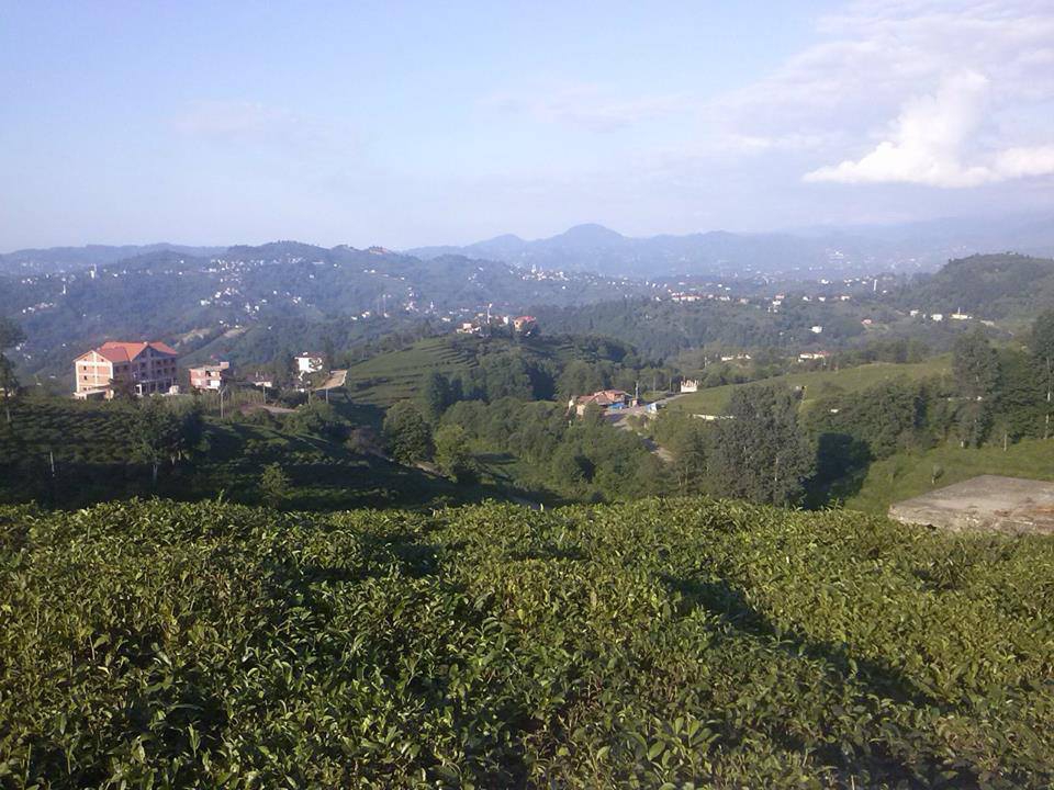 Of Serince Köyü Resimleri 40