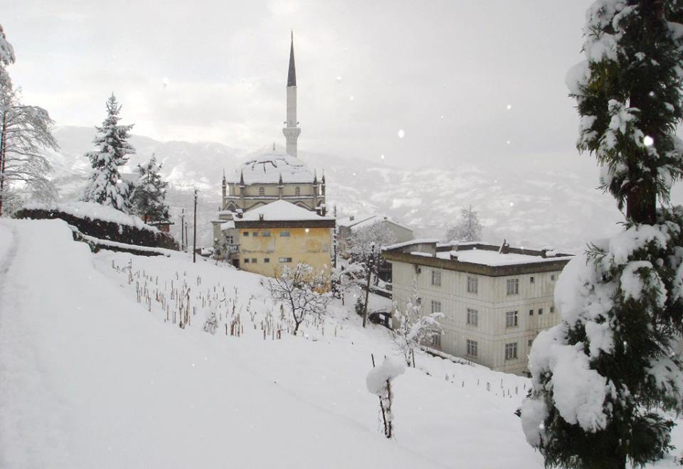 Of Serince Köyü Resimleri 43