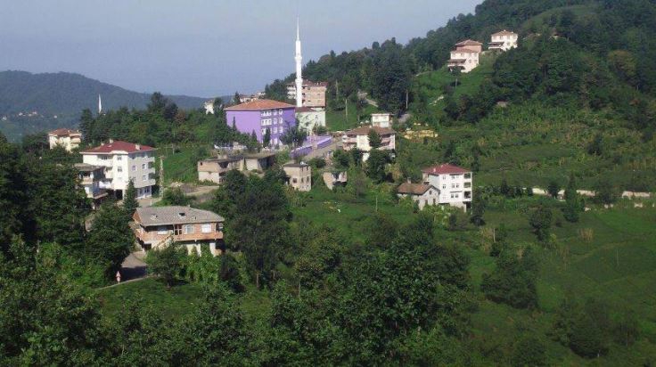 Of Serince Köyü Resimleri 44