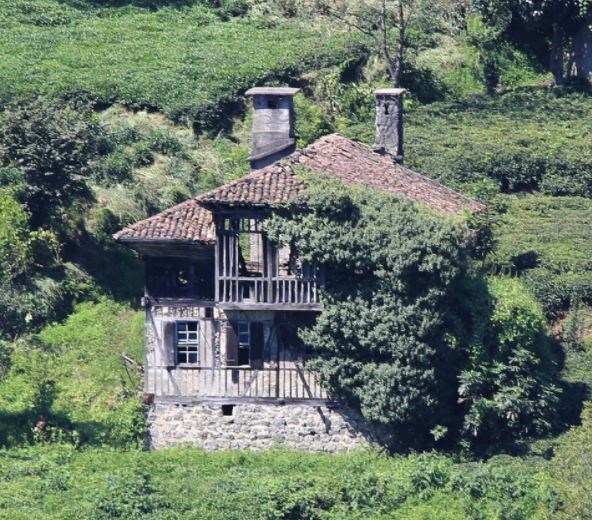 Of Serince Köyü Resimleri 45