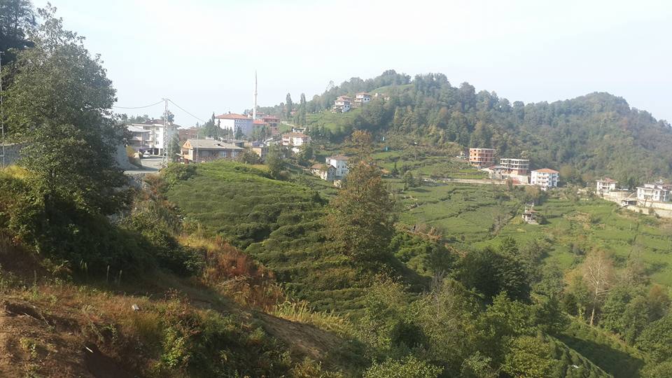 Of Serince Köyü Resimleri 49