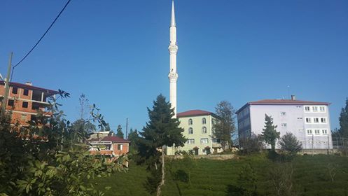 Of Serince Köyü Resimleri 5