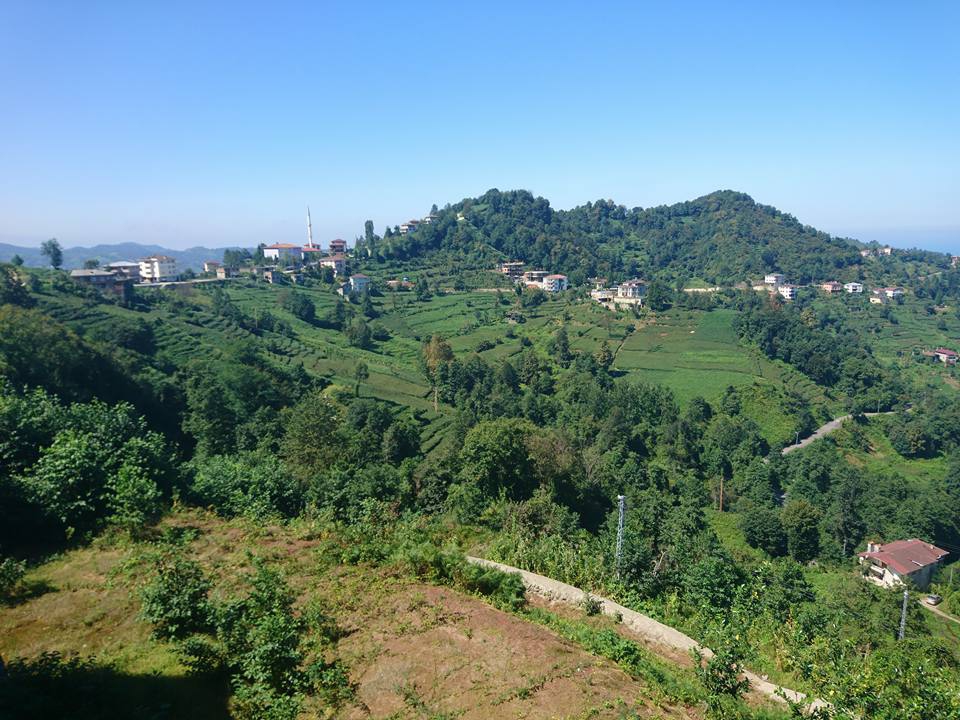 Of Serince Köyü Resimleri 51