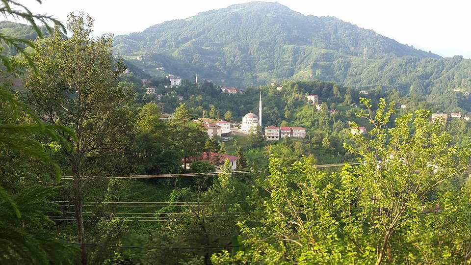 Of Serince Köyü Resimleri 52