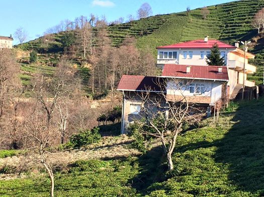 Of Serince Köyü Resimleri 53