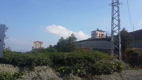 Of Serince Köyü Resimleri 6