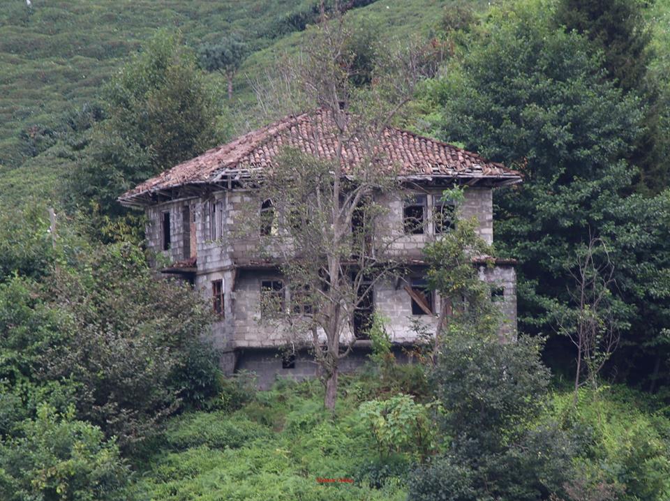 Of Serince Köyü Resimleri 60