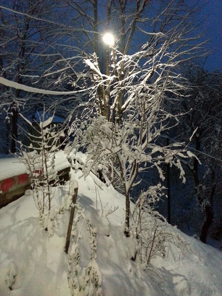 Of Serince Köyü Resimleri 63