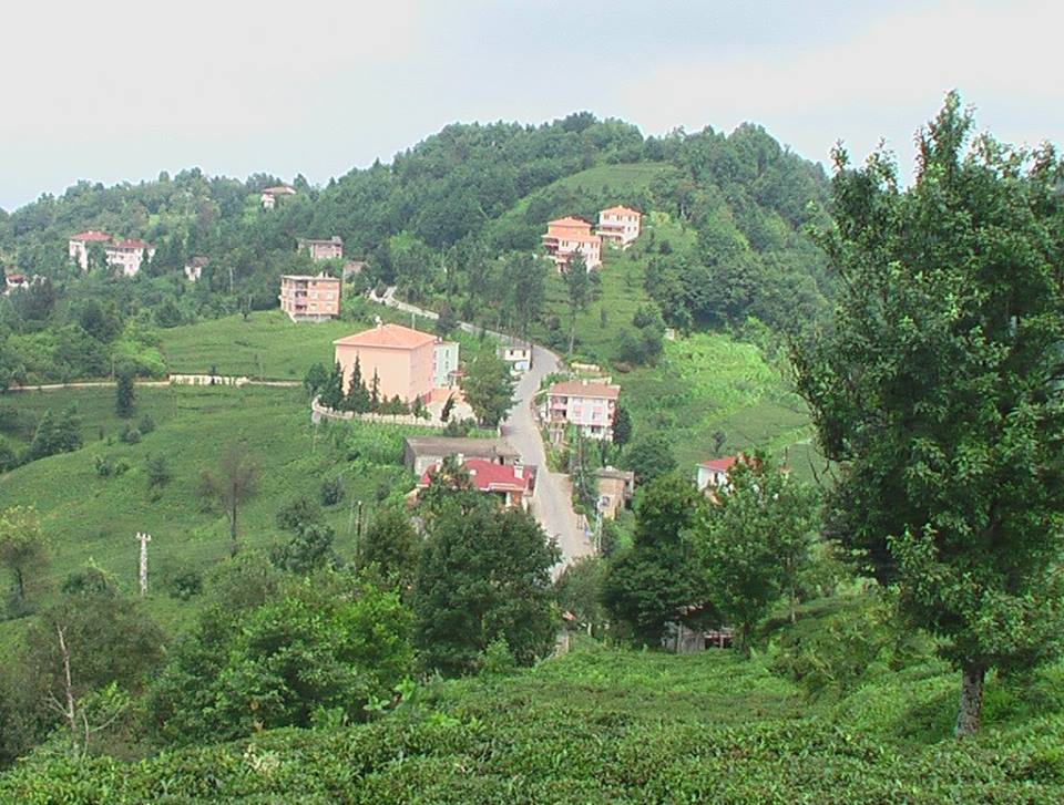 Of Serince Köyü Resimleri 65