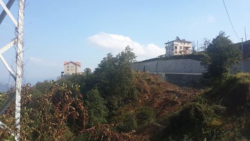 Of Serince Köyü Resimleri 7