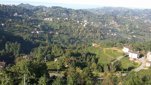 Of Serince Köyü Resimleri 9