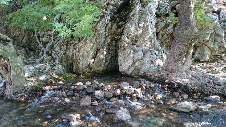Adana Aladağ Büyüksofulu Köyü Resimleri 21