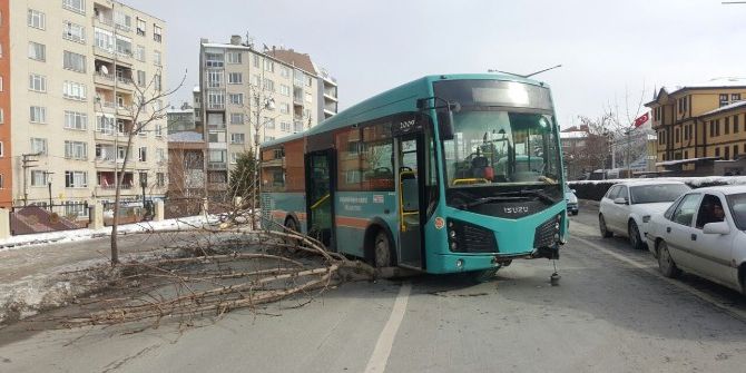 Eskişehir’de Yoldan Çıkan Otobüs Ağacı Sökerek Durabildi