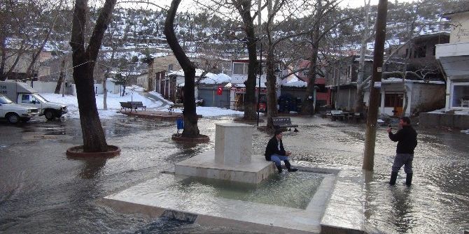 Silifkeli Çiftçiler İçin Kar, Beyaz Berekete Dönüştü