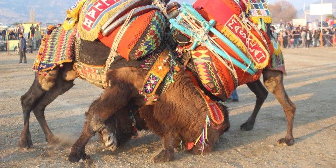 Yılın İlk Güreşi İncirliova Arenası’nda Yapıldı