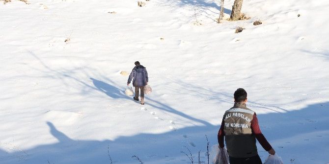 Şırnak’ta Yaban Hayvanları İçin Doğaya Yem Bırakıldı
