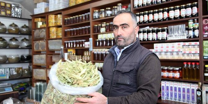 Yerli Ihlamur Piyasalarda