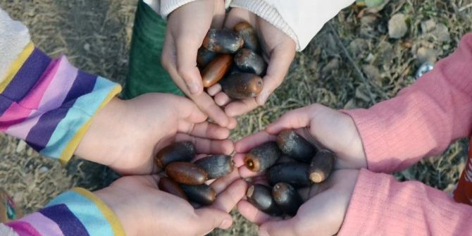Doğa İçin Umut, Her Mahalleye Palamut