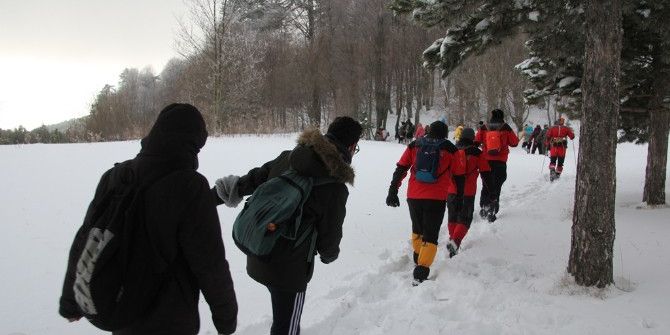 Tabiat Tutkunları, Domaniç Ormanlarında Buluşuyor