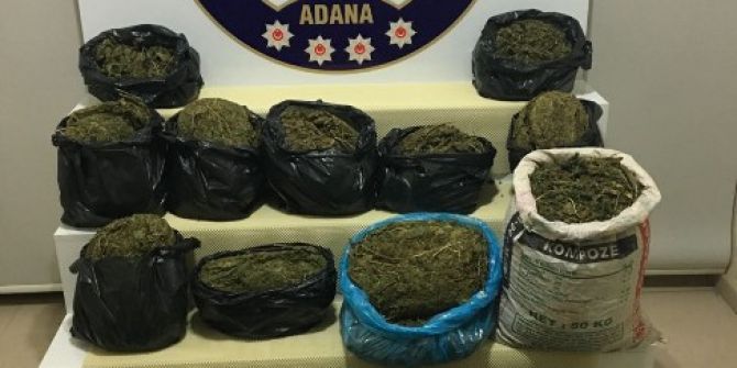 7 Torbacı Tutuklandı