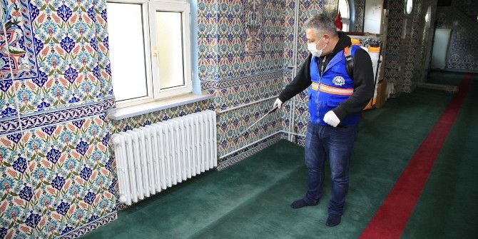 Camilerde İlaçlama Çalışmaları