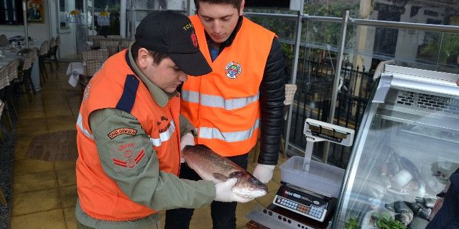 Küçük Boy Balık Satan İşletmelere 3 Bin 339 Tl Para Cezası