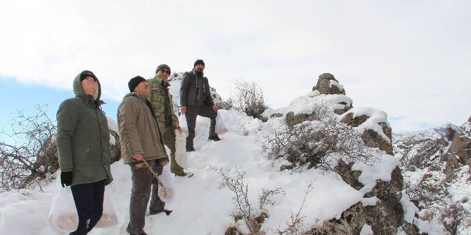 Oltulu Doğaseverler Doğaya Yem Bıraktı