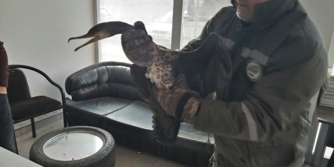 Avcılar Vurdu, İtfaiye Kurtardı