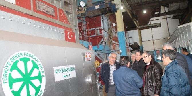 Kaymakam Üçer, Şeker Fabrikasında İncelemelerde Bulundu