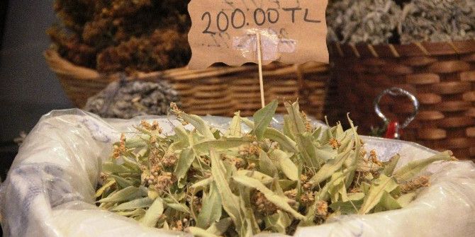 Ihlamur Boğaz Değil, El Yakıyor