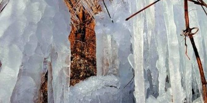 Sınır Boylarını Buz Kesti