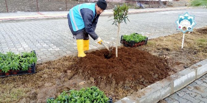 Alanya’da Bitkilendirme Çalışmaları