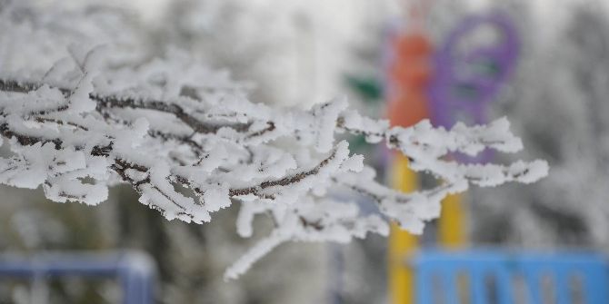 Ağaçlarda Kar Çiçekleri